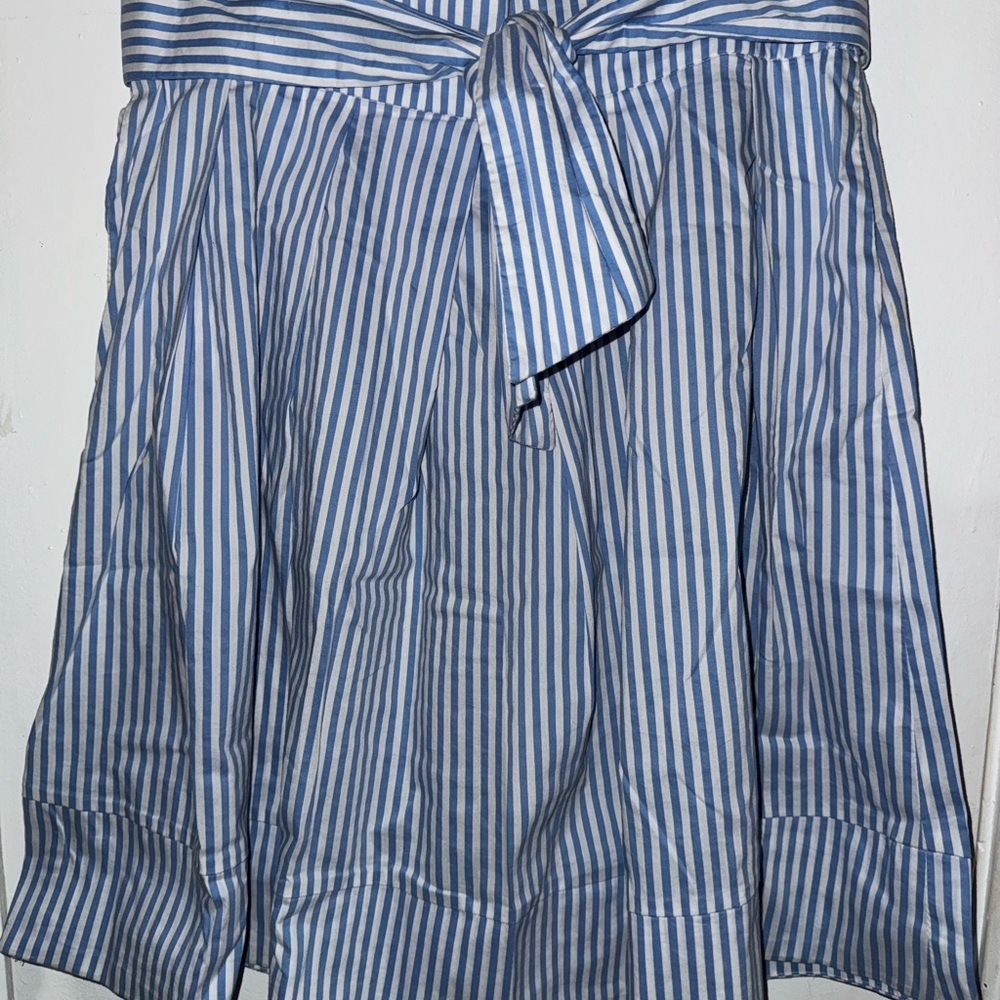 Zara Blue and White Striped Women's Skirt